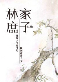 （红楼同人）红楼之林家庶子