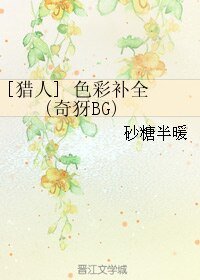 （猎人同人）[猎人]色彩补全 (奇犽BG)