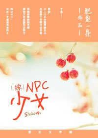 （综同人）NPC少女