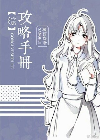 （综同人）[综]攻略手册
