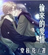 《偷来的爱情》