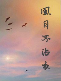 《风月不沾衣》
