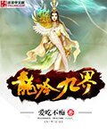 龙吟九界