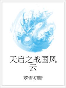 天启之战国风云
