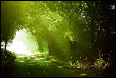 尘路