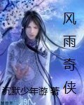 风雨奇侠