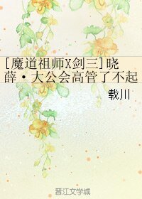 （综同人）[魔道祖师X剑三]晓薛·大公会高管了不起啊？