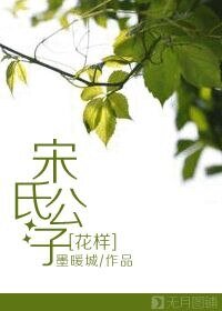 （花样男子同人）[花样]宋氏公子
