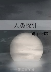 《人类探针》