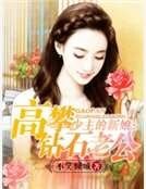 少主的新娘：高攀钻石老公