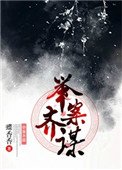 《举案齐谋》