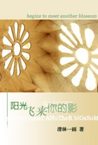 《阳光飞来你的影/一路的光影》