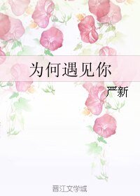 《為何遇見你》