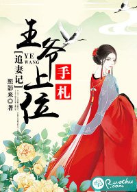 追妻记：王爷上位手札