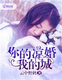《你的凉婚我的城》