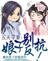 《五夫寻妻:娘子别反抗(女尊)》