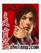 《坏蛋之风云再起》
