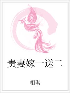 《贵妻嫁一送二》