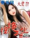 《惊艳人生》