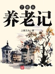 《丁老头养老记》