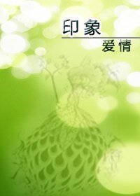 《印象爱情》