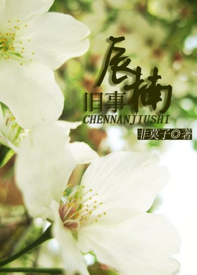 《辰楠旧事(高干)》