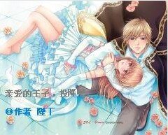 《亲爱的王子,投降吧》