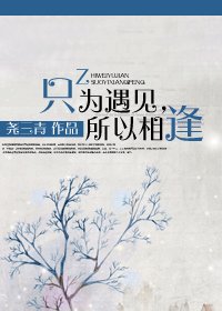 《只为遇见,所以相逢》