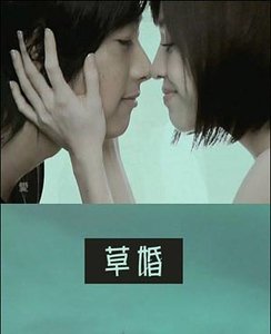 草婚（出书版）