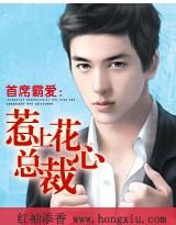 首席霸爱：爱上花心总裁