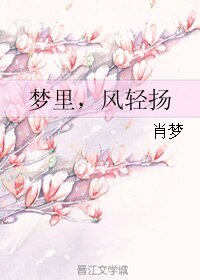 《梦里,风轻扬》