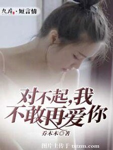 《对不起,我不敢再爱你》