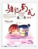 《馴仙有術》