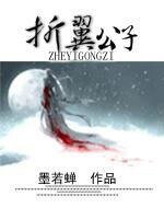 《折翼公子》