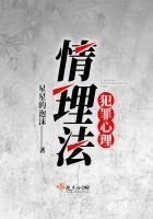 《犯罪心理:情理法》