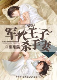 《军火王子杀手妻》
