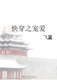 《林穿之宠哎》
