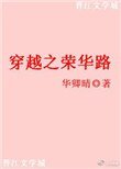 《穿越之荣华路》