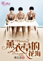 （BG-TFboys同人）TFboys之薰衣草的花海