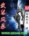 《武装风暴》