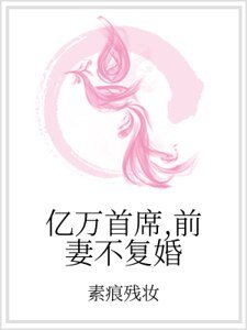 《亿万首席,前妻不复婚》
