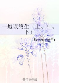 一炮误终生
