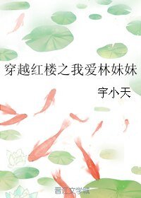 （红楼同人）穿越红楼之我爱林妹妹