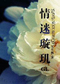 《情迷璇玑》