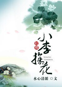 《(红楼同人)小李探花》