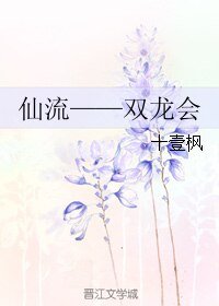 （灌篮高手同人）[仙流]双龙会