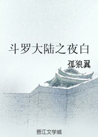 《(BL/斗罗大陆同人)斗罗大陆之夜白》