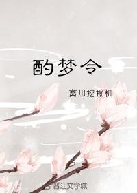 （BL/全职同人）[叶蓝]酌梦令