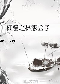 《(BL/红楼同人)红楼之林家公子》