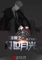 《海贼之幻世月光》